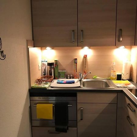 Beautiful 2.5 Room Apartment In Lucerne Екстер'єр фото